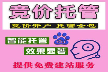 行业新秀的SEM优化之路：从零到一的突破